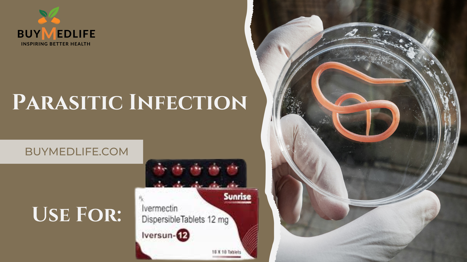 How Iversun 12 mg Works: A Complete Overview